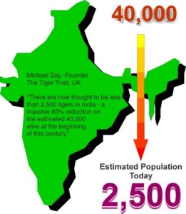 India Tiger Population