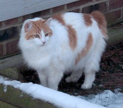 Ben in the snow.