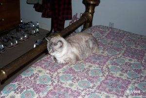 Miss Betty on the bed.