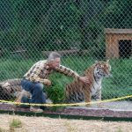 Jason and Tigra tiger.