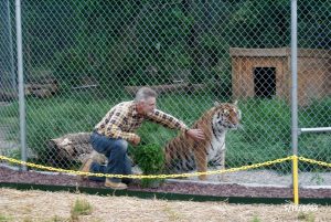 Jason and Tigra tiger.