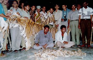 Group of Tiger Poachers - Save the Tigers