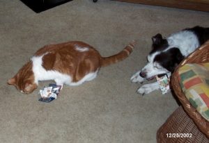 Samson with Kiwi.