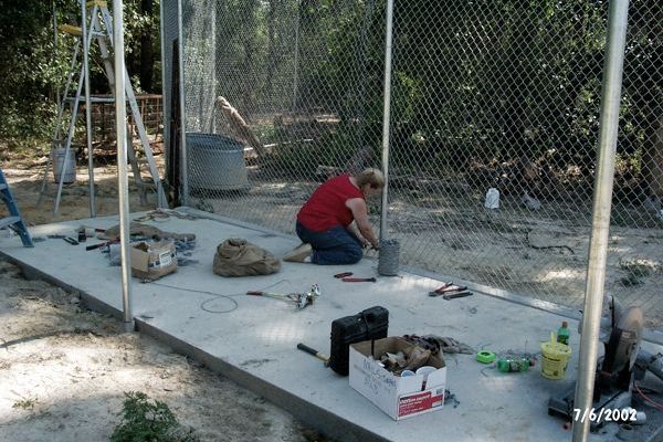 Tigra's Habitat Construction Photo 21