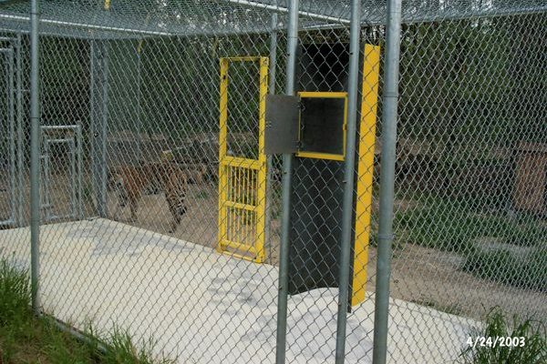 Tigra's Habitat Construction Photo 41