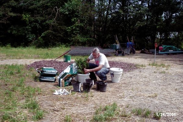 Tigra's Habitat Construction Photo 50