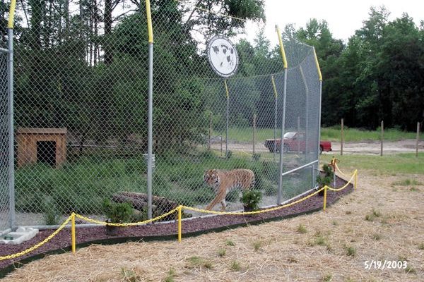 Tigra's Habitat Construction Photo 52