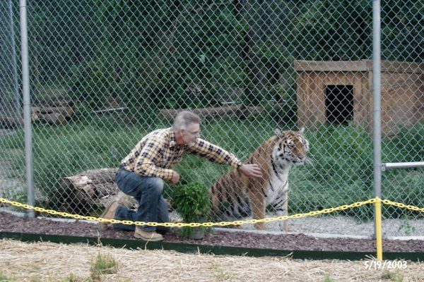 Tigra's Habitat Construction Photo 57