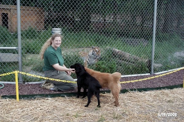 Tigra's Habitat Construction Photo 59