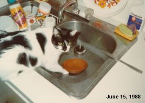 Zoe taking a drink.