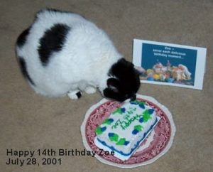 Zoe's 14th birthday.